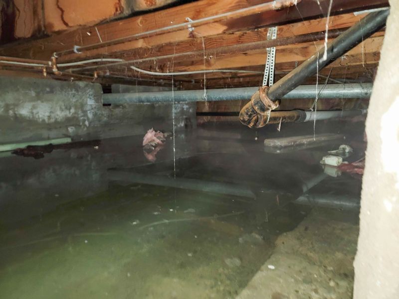 Basement Water Extraction in Mesa, AZ